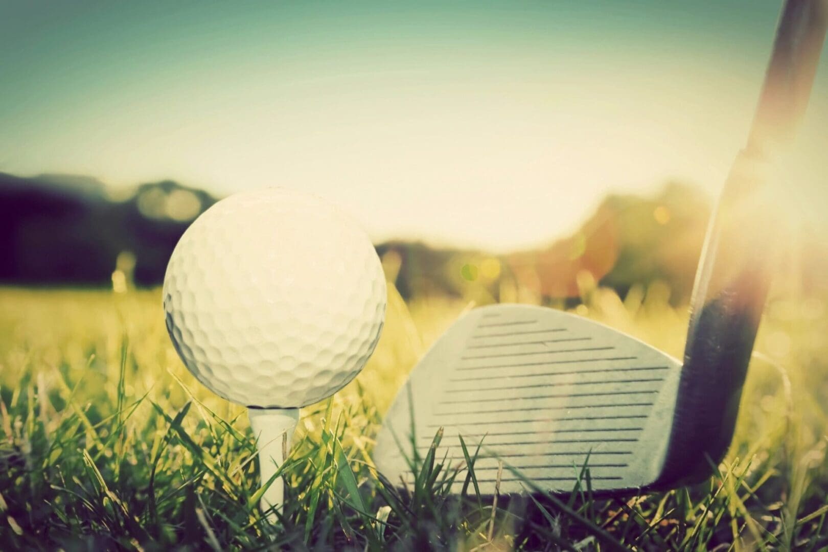 A golf ball and tee in the grass.